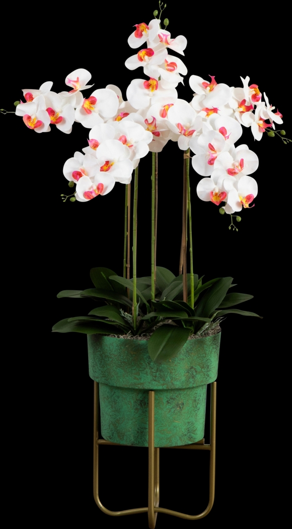 Balsinger II White Silk Floral - Thumbnail - Image 1