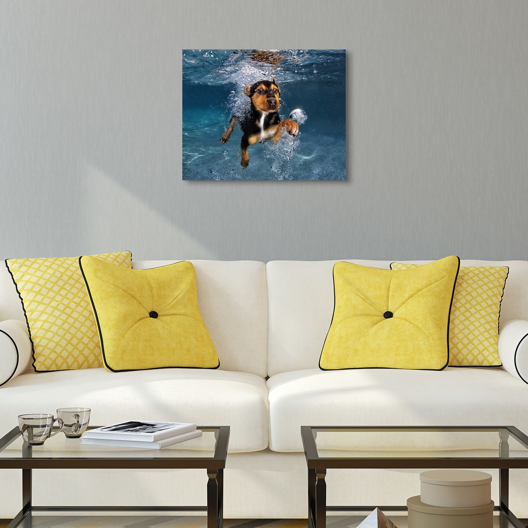 Baxter's Swim Artwork - Thumbnail - Image 4