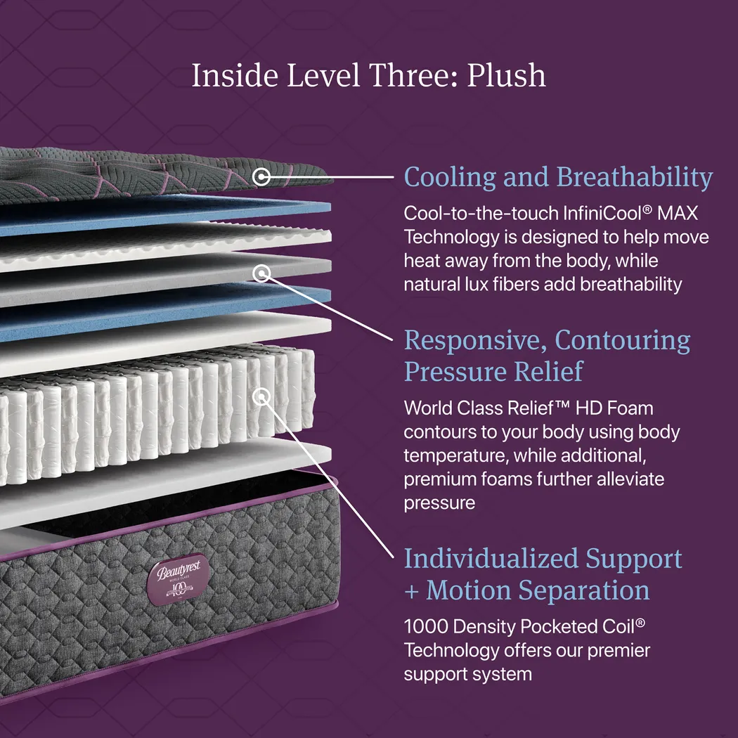 Beautyrest World Class Level Three Plush King Mattress - Image 8