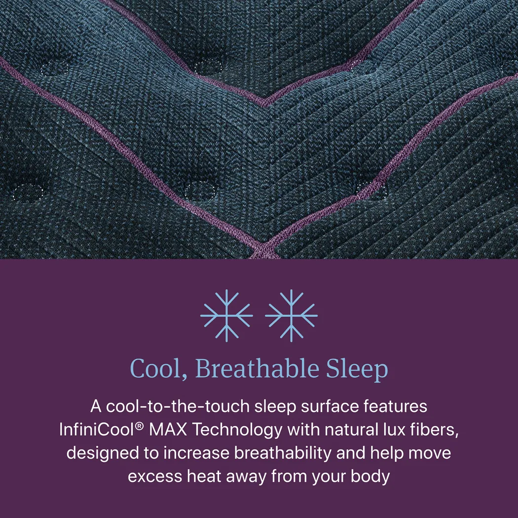 Beautyrest World Class Level Three Plush King Mattress - Image 5