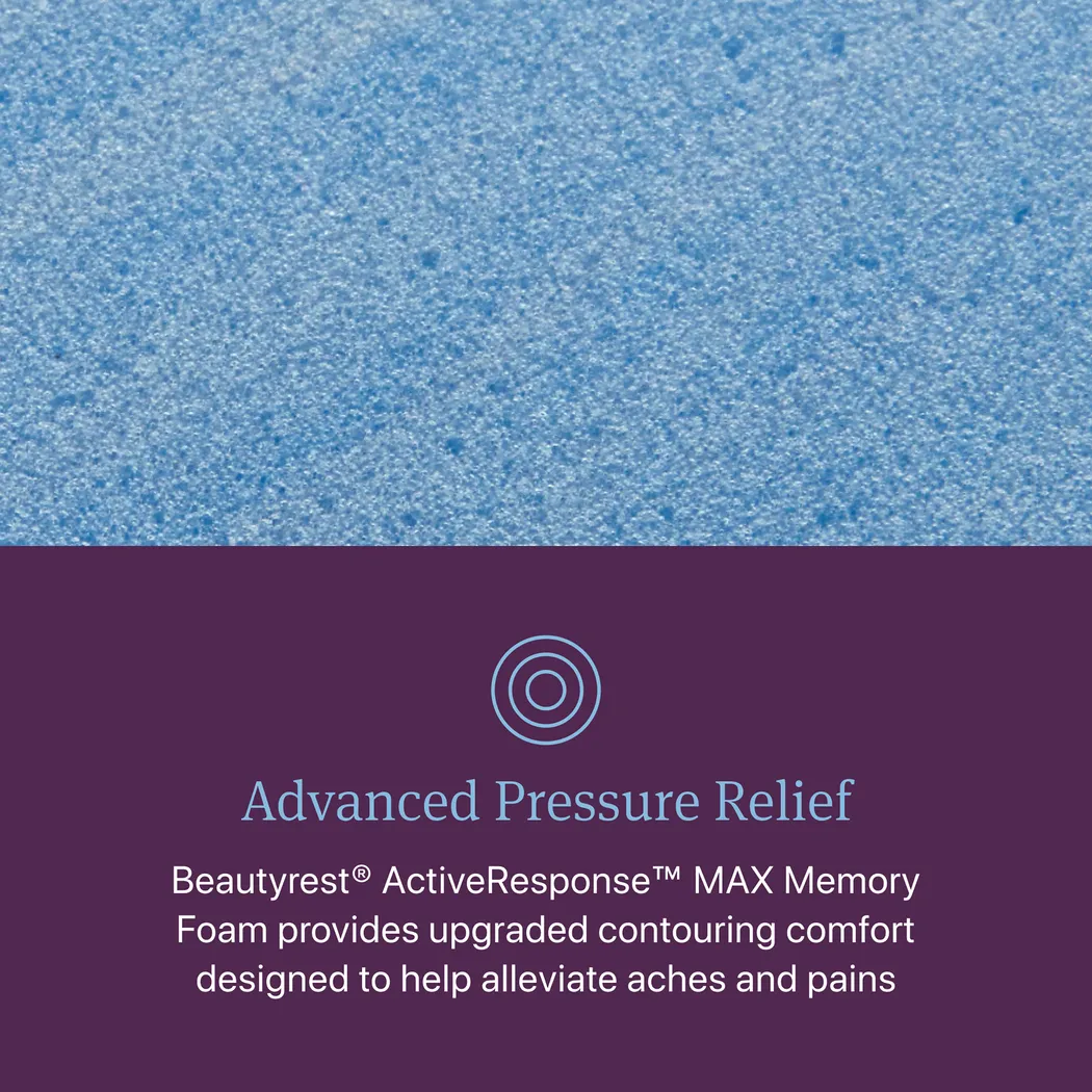 Beautyrest World Class Level Three Plush King Mattress - Image 6