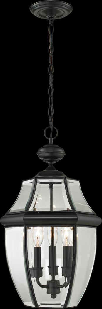 Belfast Black Outdoor Chandelier - Thumbnail - Image 1