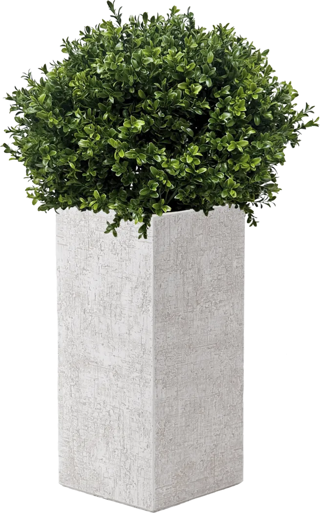 Bellara 41 in. UV Artificial Boxwood Ball in White Planter - Thumbnail - Image 1