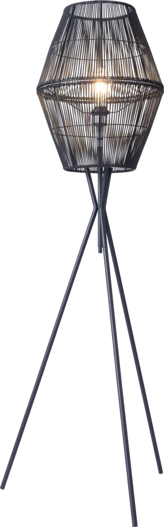 Benito Lane Black Floor Lamp - Thumbnail - Image 1