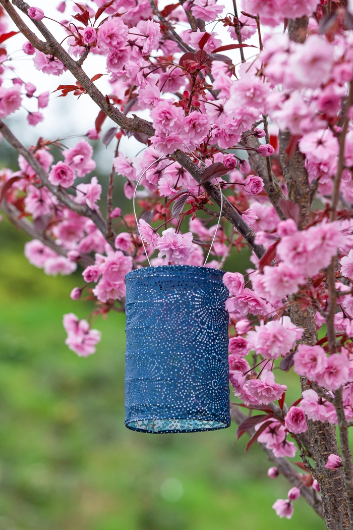 Bento Shade Outdoor Blue Solar Lantern - Thumbnail - Image 5