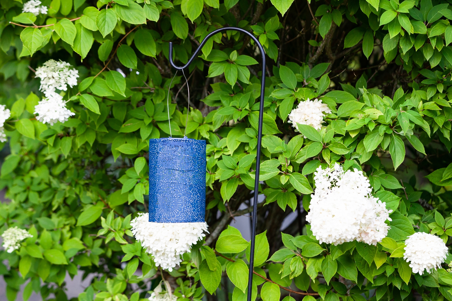 Bento Shade Outdoor Blue Solar Lantern - Thumbnail - Image 9