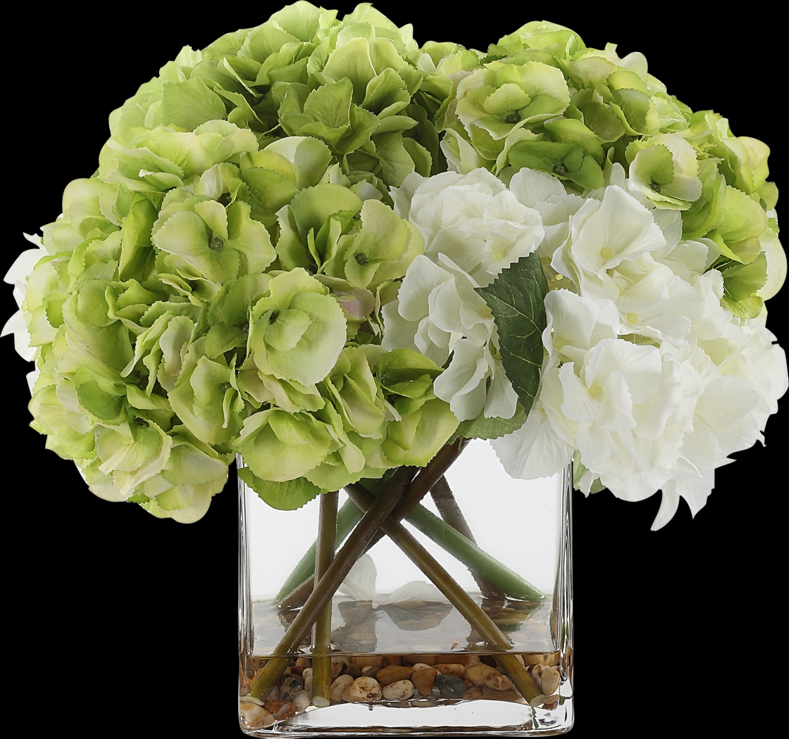 Berl White Plant - Thumbnail - Image 5