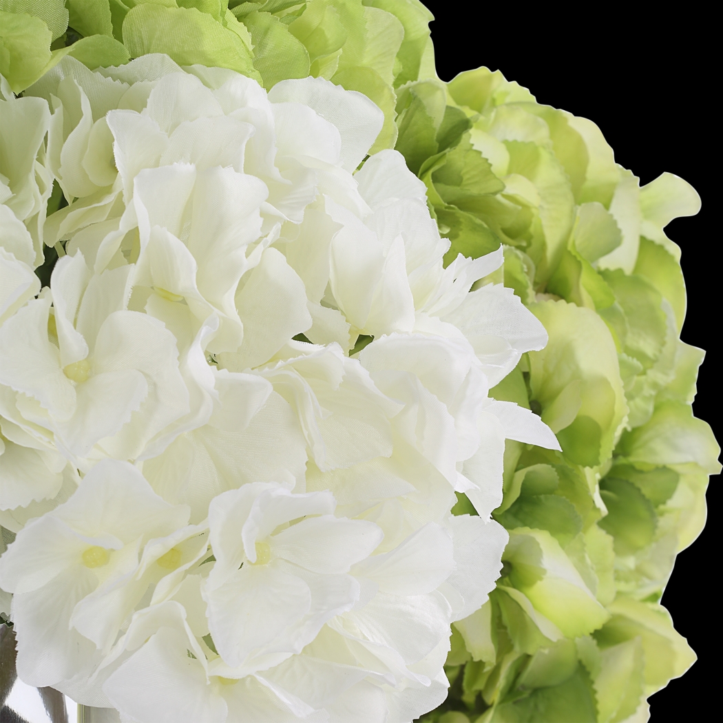 Berl White Plant - Thumbnail - Image 6