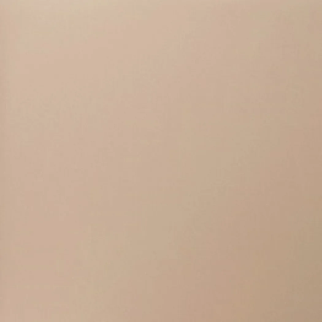 Berryhut Tan Side Chair, Set of 2 - Thumbnail - Image 7