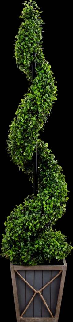 Berteau Green Artificial Boxwood Spiral Tree - Thumbnail - Image 1