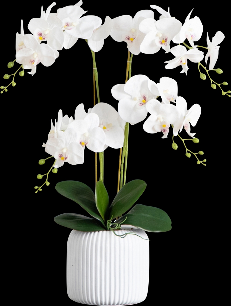 Bierer White Silk Floral - Thumbnail - Image 1