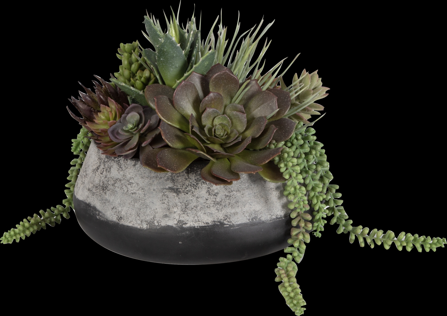 Bijou Gray Silk Plant - Thumbnail - Image 4