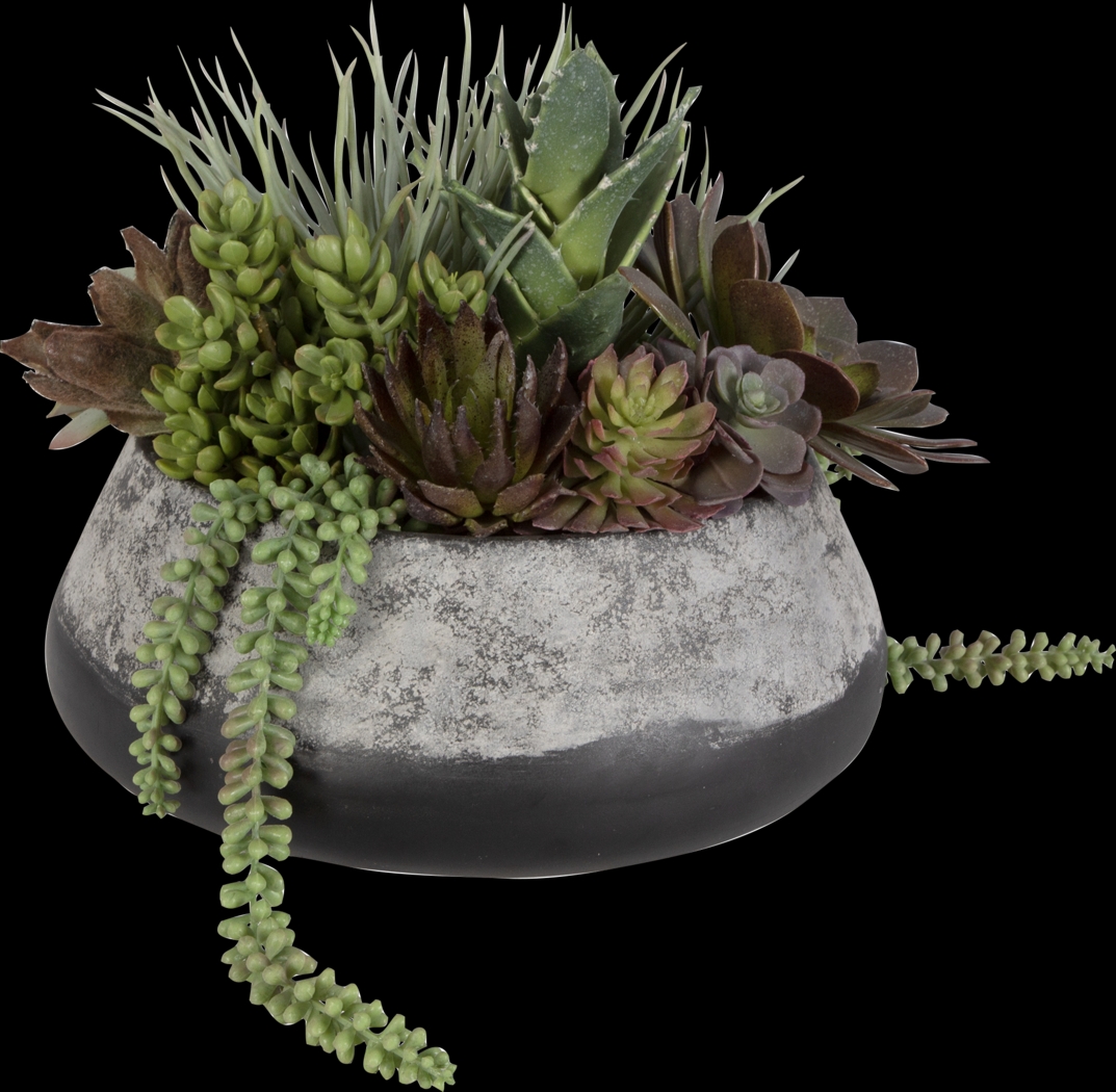 Bijou Gray Silk Plant - Thumbnail - Image 1