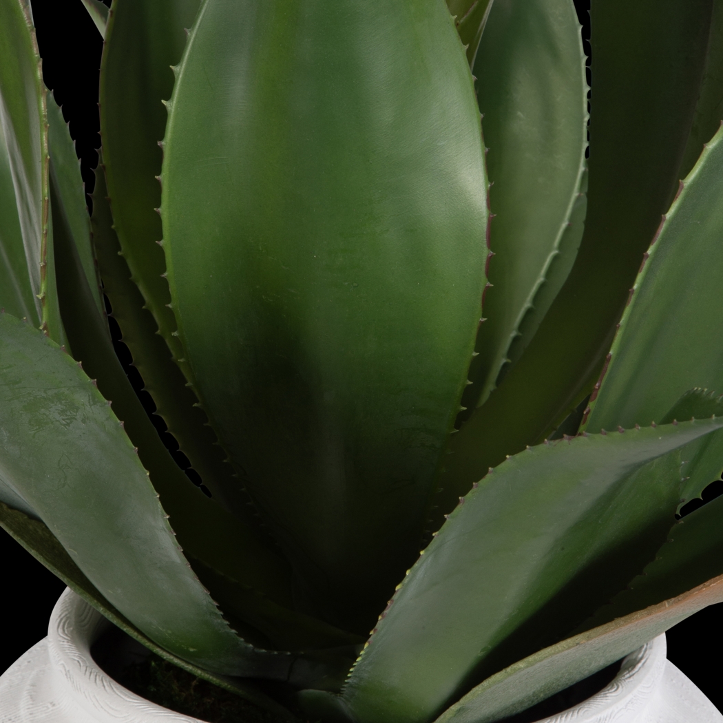 Billine Green Silk Plant - Thumbnail - Image 3