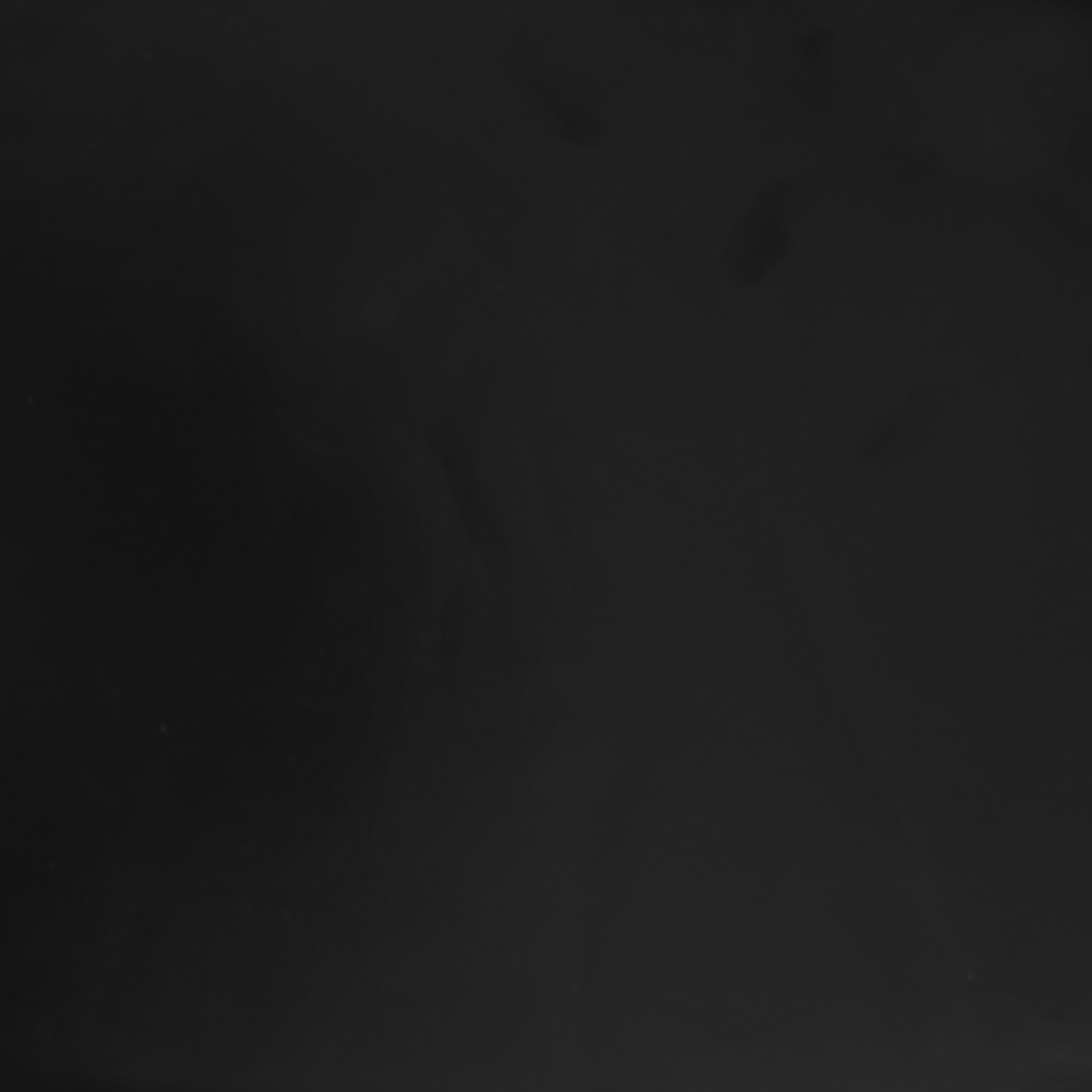 Birdlake IV Black Barstool, Set of 2 - Thumbnail - Image 12