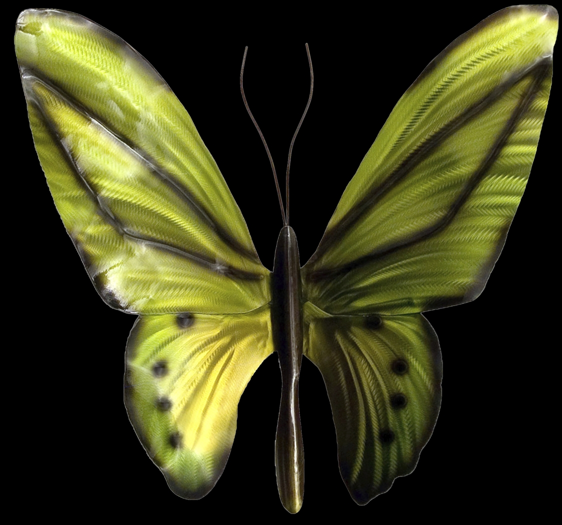 Birdwing Butterfly Green Outdoor Artwork - Thumbnail - Image 1