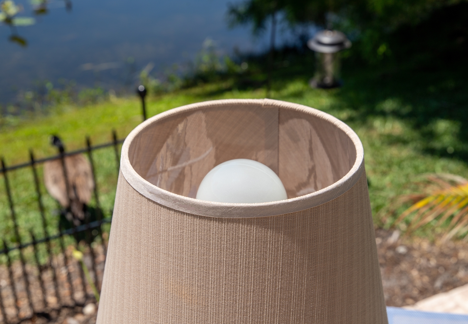 Birdy Cove Black Outdoor Floor Lamp - Thumbnail - Image 4