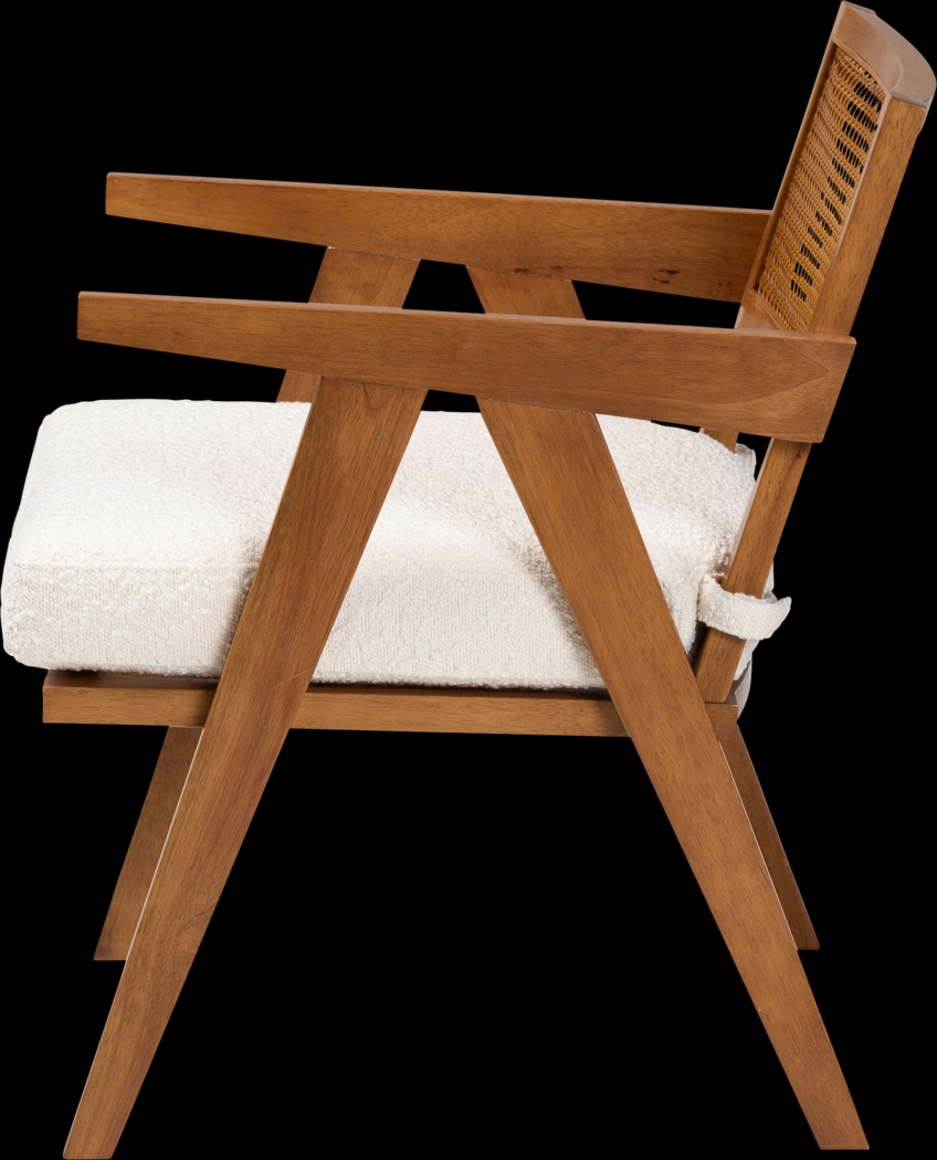 Bitterwood Brown Accent Chair - Thumbnail - Image 4