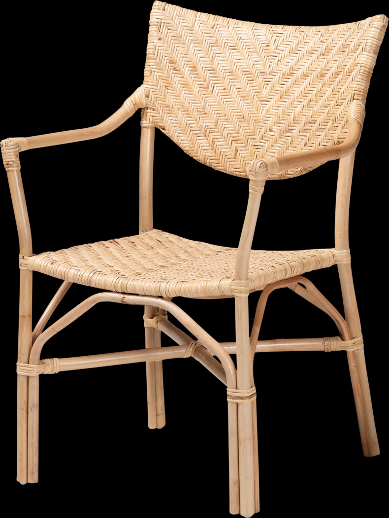 Blagden Brown Arm Chair - Thumbnail - Image 1