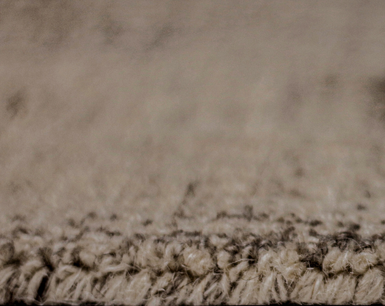 Blaxland Ivory 7'6 x 9'6 Rug - Thumbnail - Image 6