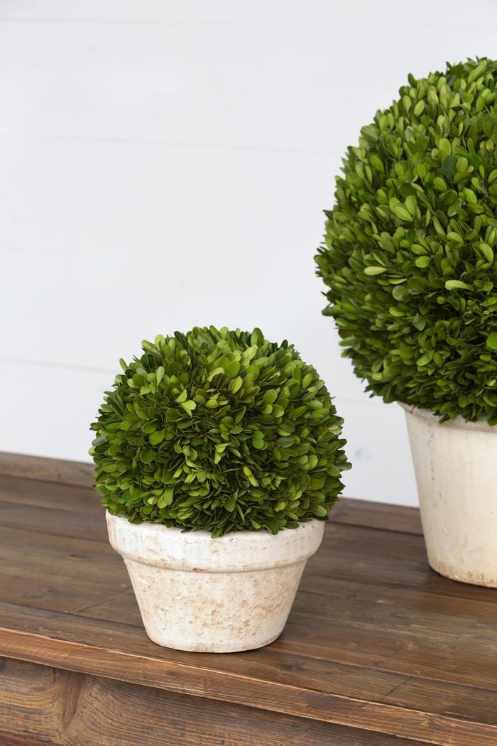 Blimah Green Vase - Thumbnail - Image 2