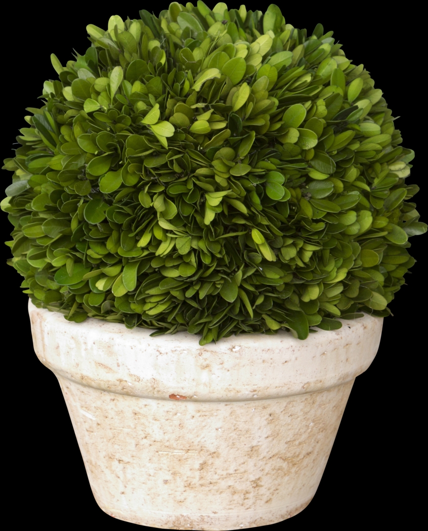 Blimah Green Vase - Thumbnail - Image 1