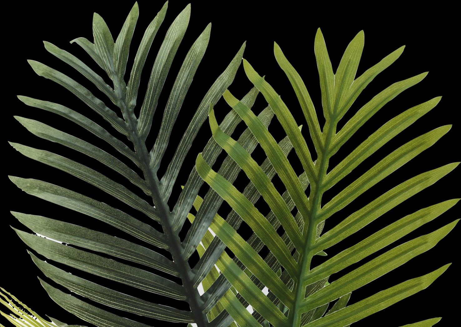 Blolly Green Artificial Palm Tree - Thumbnail - Image 4
