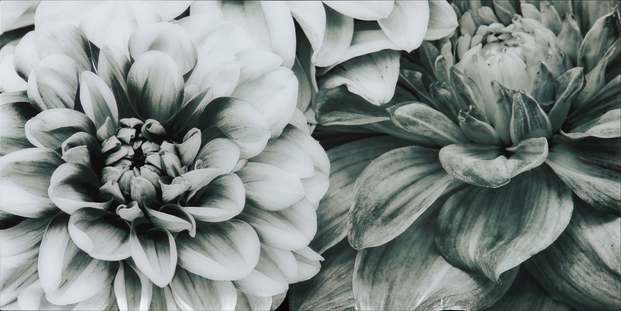 Blooming Season Artwork - Thumbnail - Image 1