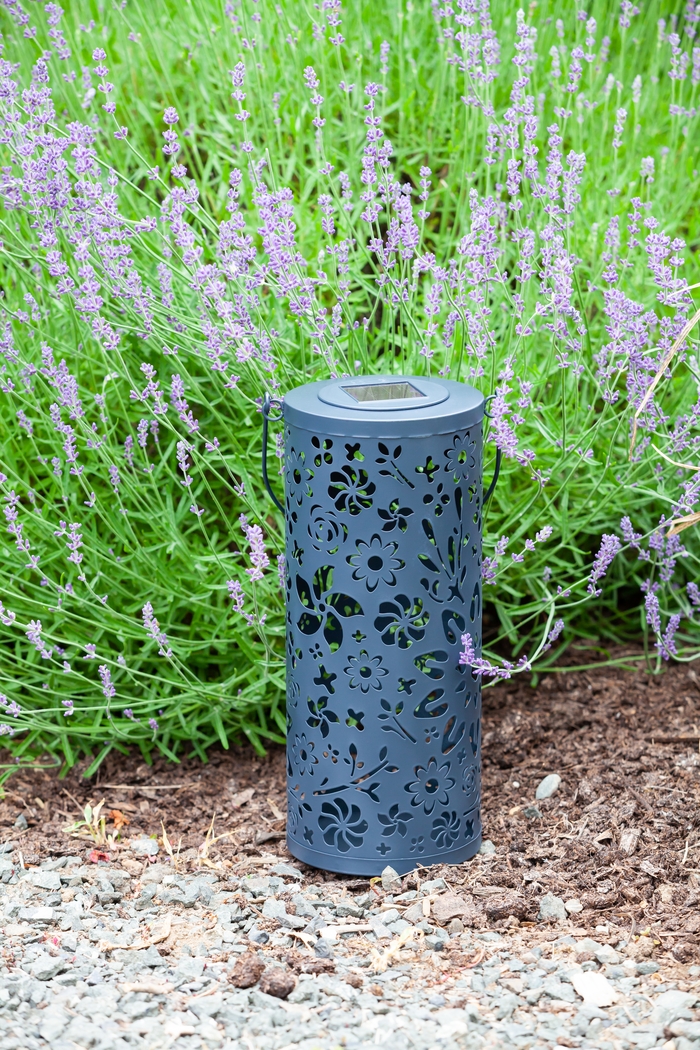 Blossom Hill Midnight Outdoor Solar Lantern - Thumbnail - Image 2