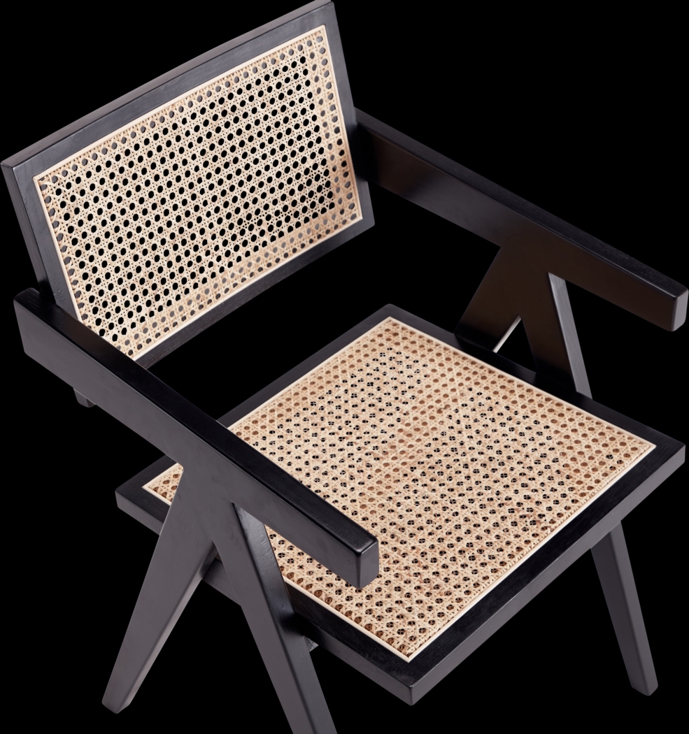 Bluesunny Black Arm Chair - Thumbnail - Image 5