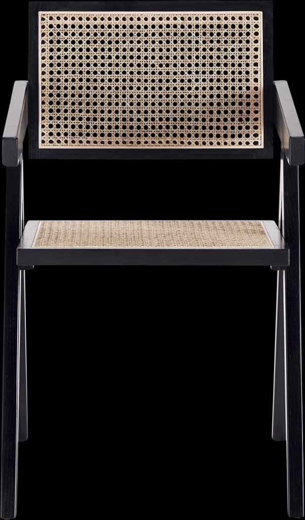 Bluesunny Black Arm Chair - Thumbnail - Image 8