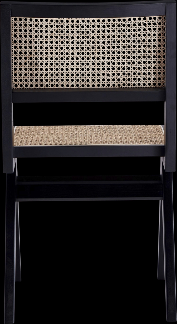 Bluesunny Black Side Chair, Set of 2 - Thumbnail - Image 3