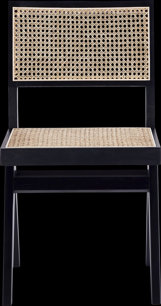 Bluesunny Black Side Chair, Set of 2 - Thumbnail - Image 4