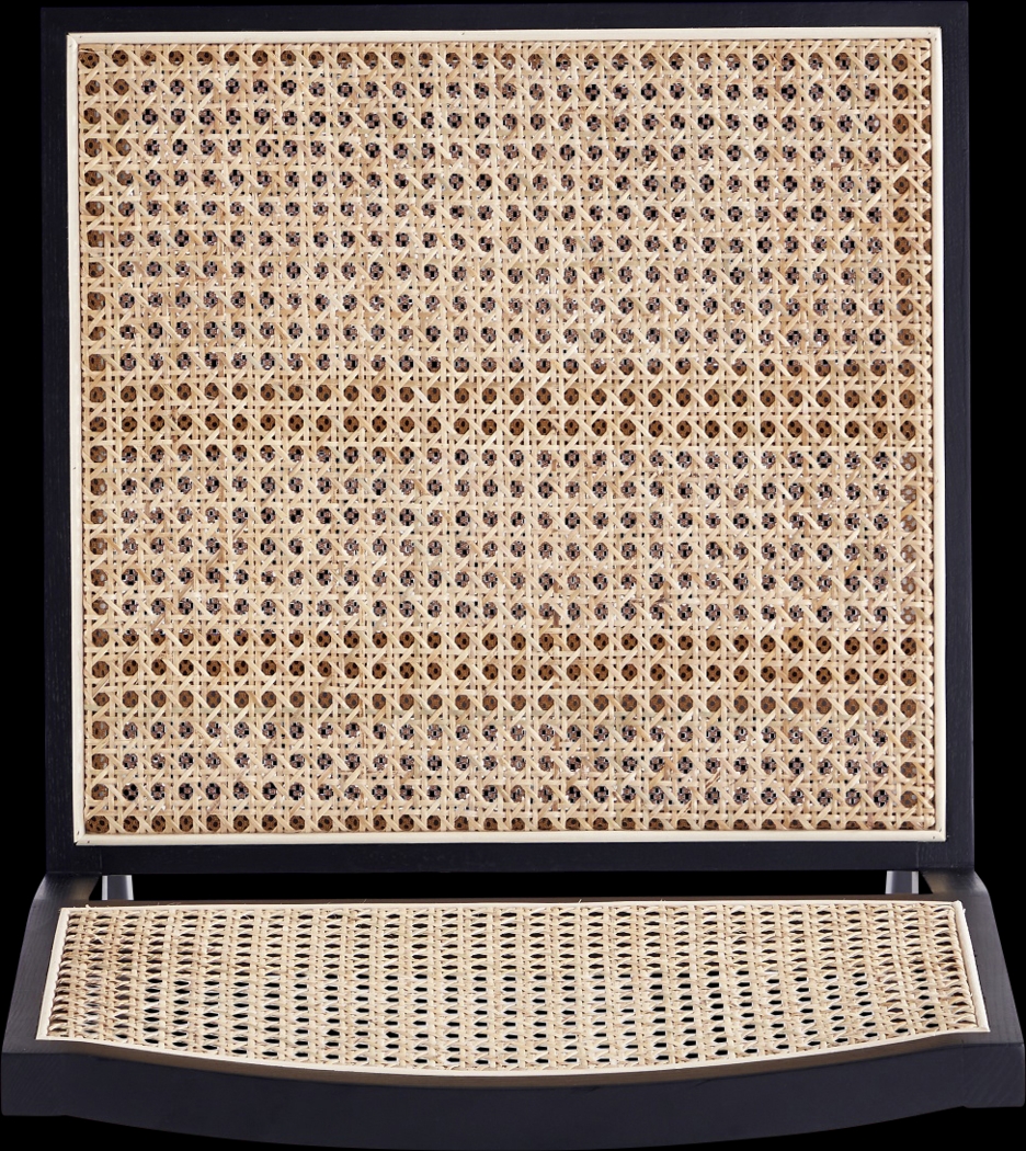 Bluesunny Black Side Chair, Set of 2 - Thumbnail - Image 5