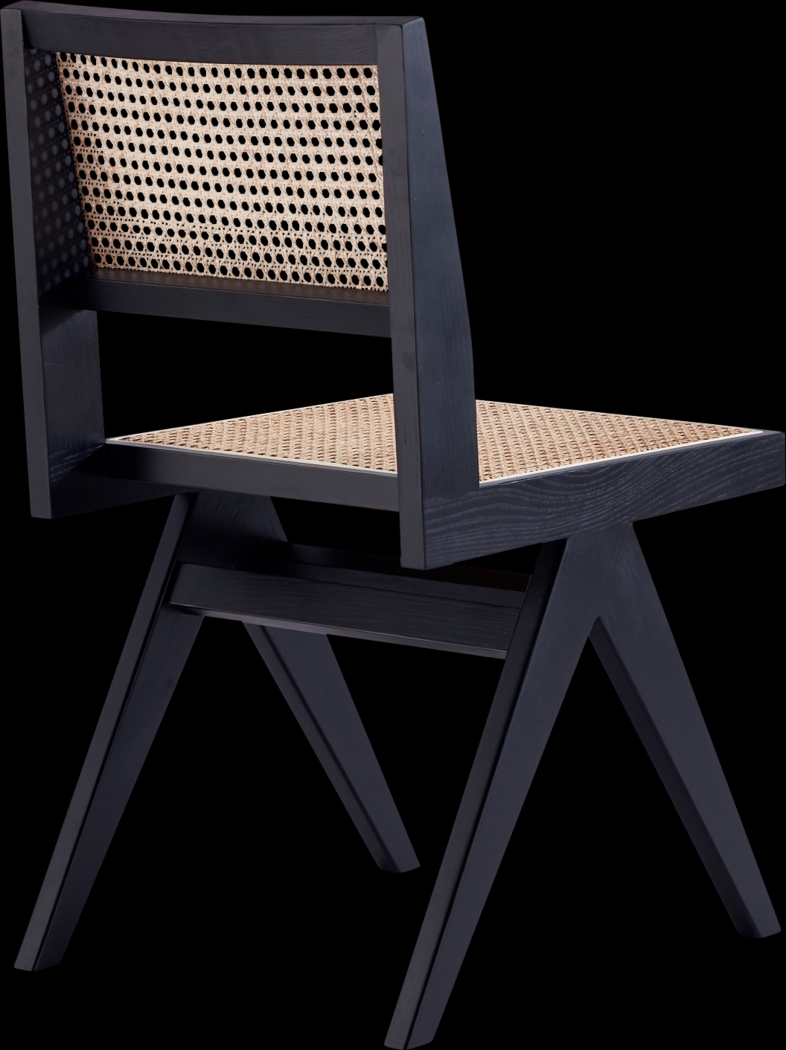 Bluesunny Black Side Chair, Set of 2 - Thumbnail - Image 6