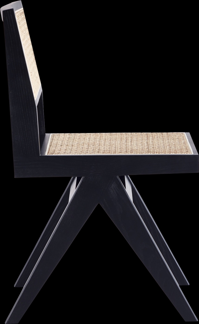 Bluesunny Black Side Chair, Set of 2 - Thumbnail - Image 7