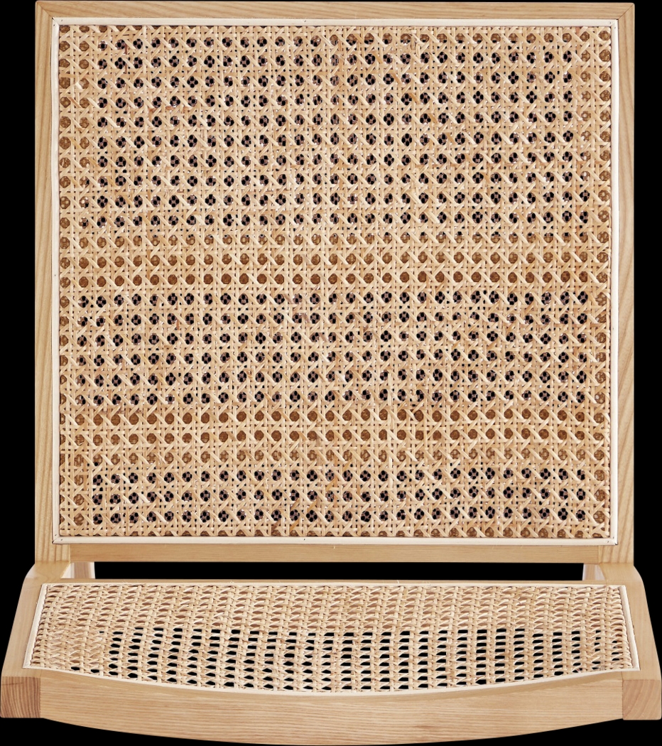 Bluesunny Natural Side Chair, Set of 2 - Thumbnail - Image 4