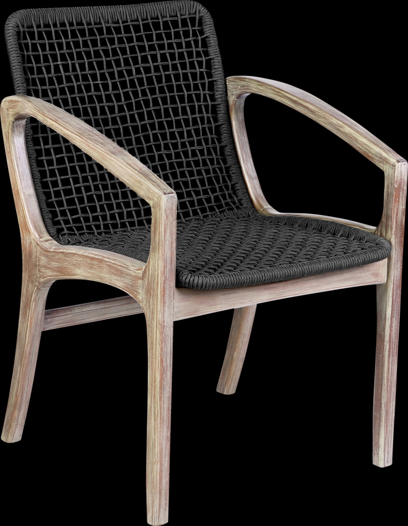 Outdoor Boudinot Black Arm Chair - Thumbnail - Image 1