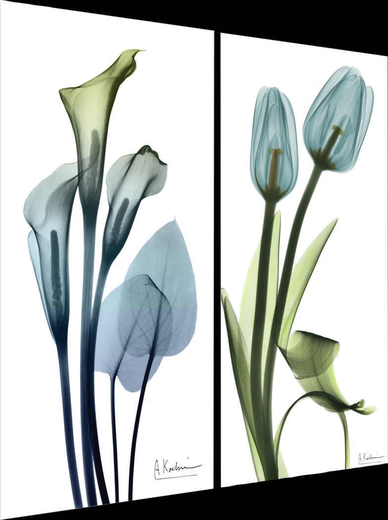 Bowra Blue Artwork, Set of 2 - Thumbnail - Image 4