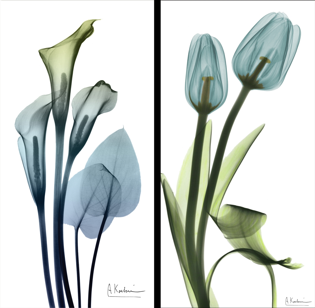 Bowra Blue Artwork, Set of 2 - Thumbnail - Image 1