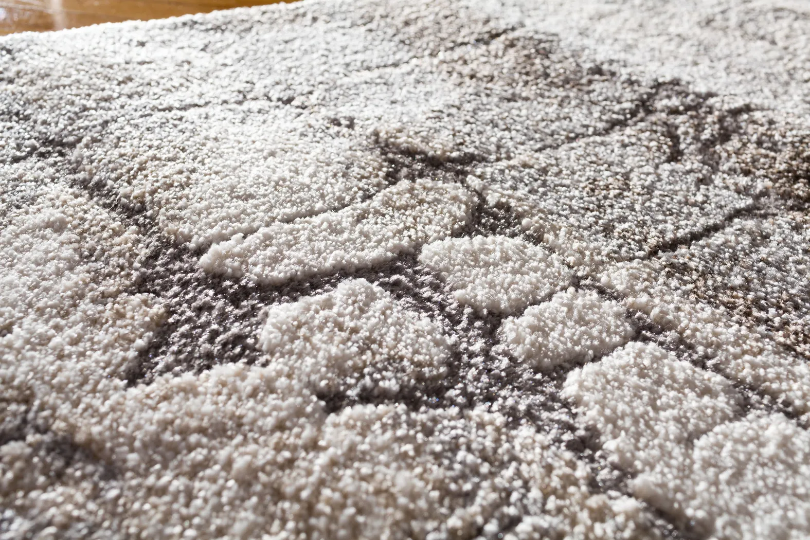 Boxholm Cream 7'10 x 9'10 Rug - Thumbnail - Image 2