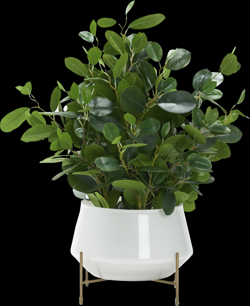 Boyar White Ficus Silk Plant - Thumbnail - Image 1