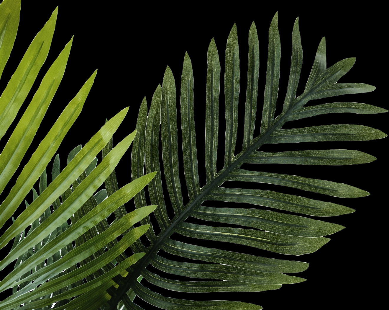 Bromeliad Green Artificial Palm Plant - Thumbnail - Image 4