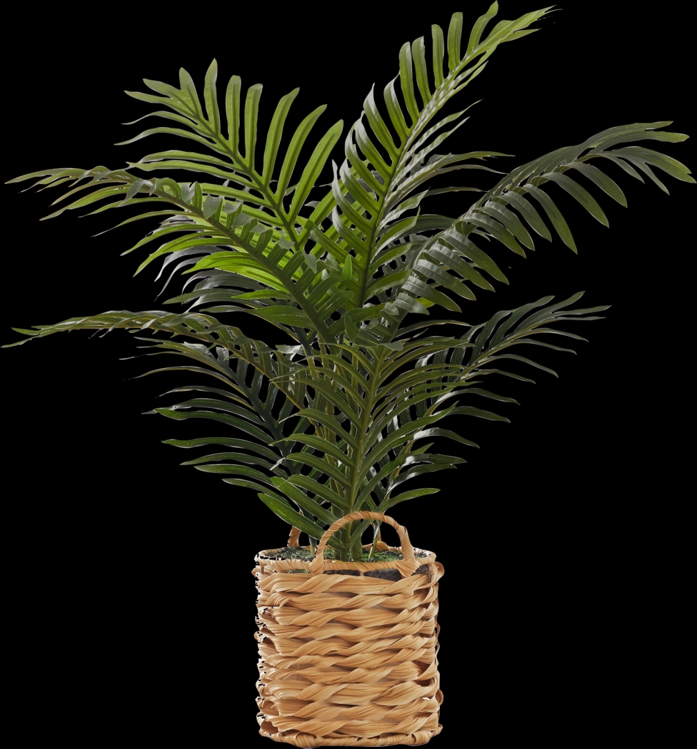 Bromeliad Green Artificial Palm Plant - Thumbnail - Image 1