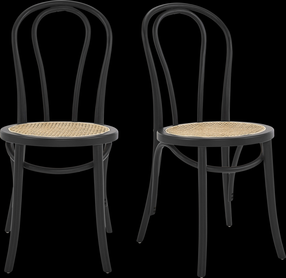 Brouwers Black Dining Chair, Set of 2 - Thumbnail - Image 1
