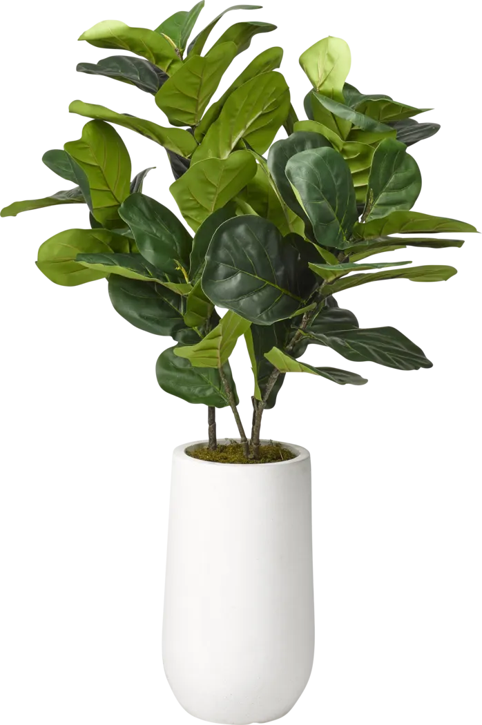 Brynden Green Fiddle Leaf Fig Small Silk Tree - Thumbnail - Image 1