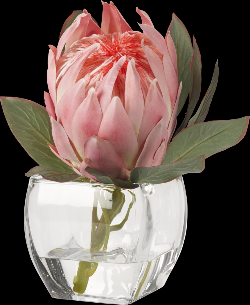 Brysan Pink Queen Protea Silk Plant - Thumbnail - Image 1