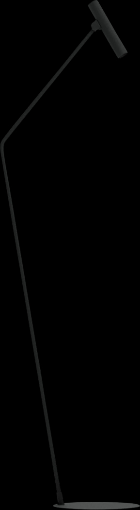 Buelow Street Black Floor Lamp - Thumbnail - Image 1