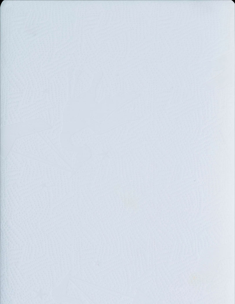 Bundle of Dreams Ecozy Kids 6" Crib Mattress - Thumbnail - Image 1