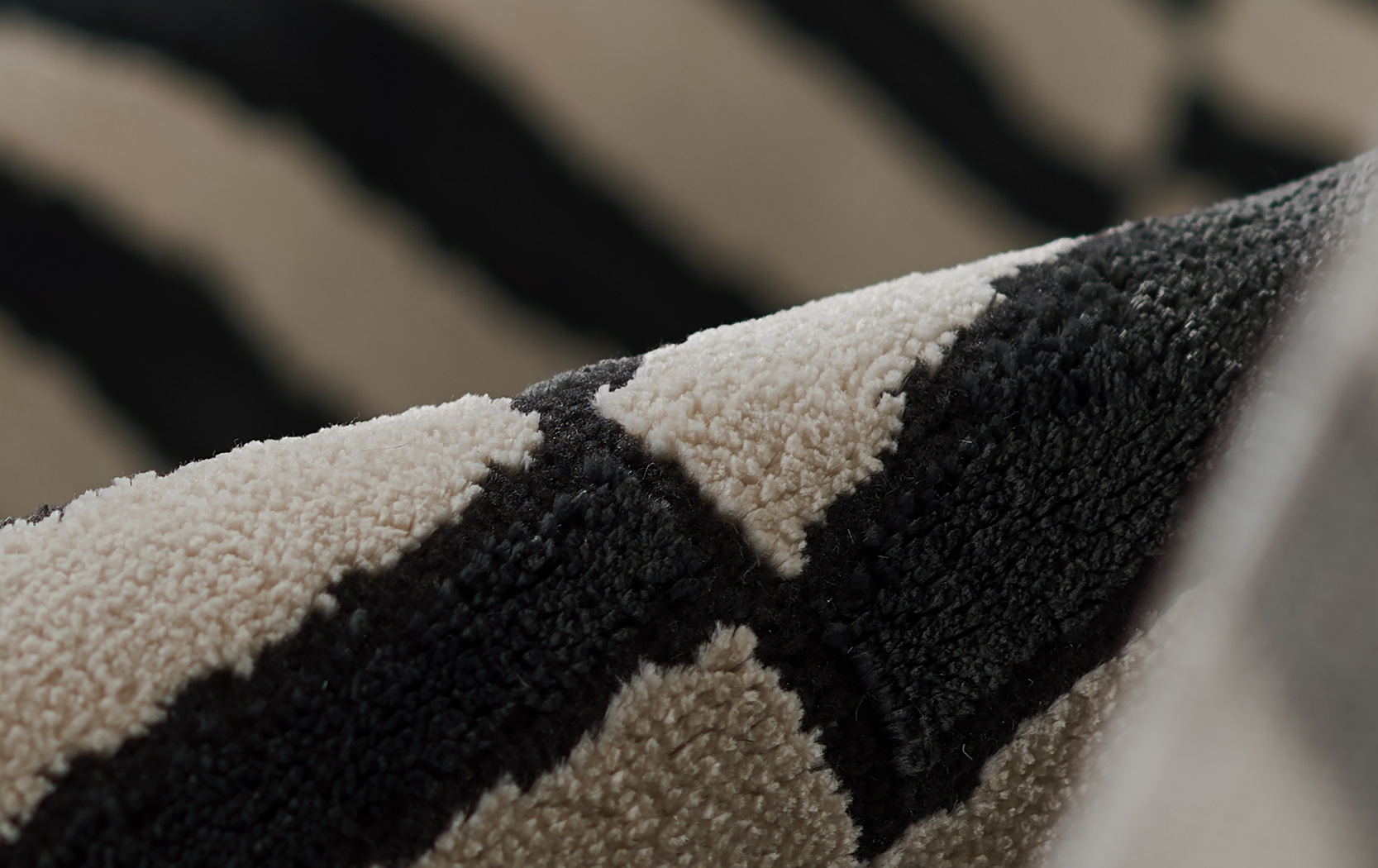 Caelia Black 3'11 x 5'7 Rug - Thumbnail - Image 7